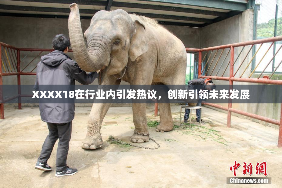 XXXX18在行业内引发热议，创新引领未来发展