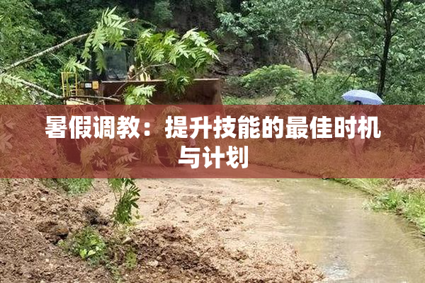 暑假调教：提升技能的最佳时机与计划