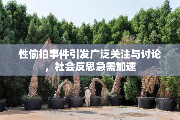 性偷拍事件引发广泛关注与讨论，社会反思急需加速