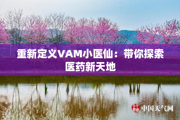 重新定义VAM小医仙：带你探索医药新天地