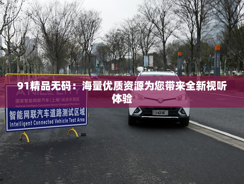 91精品无码：海量优质资源为您带来全新视听体验
