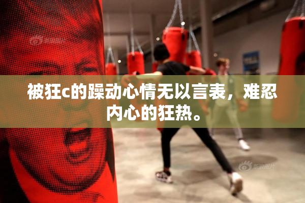 被狂c的躁动心情无以言表，难忍内心的狂热。