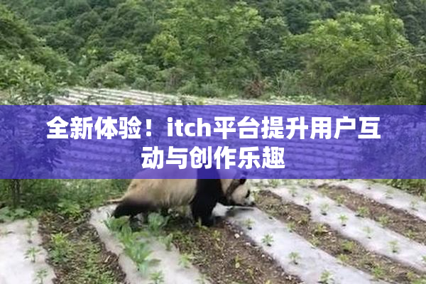 全新体验！itch平台提升用户互动与创作乐趣