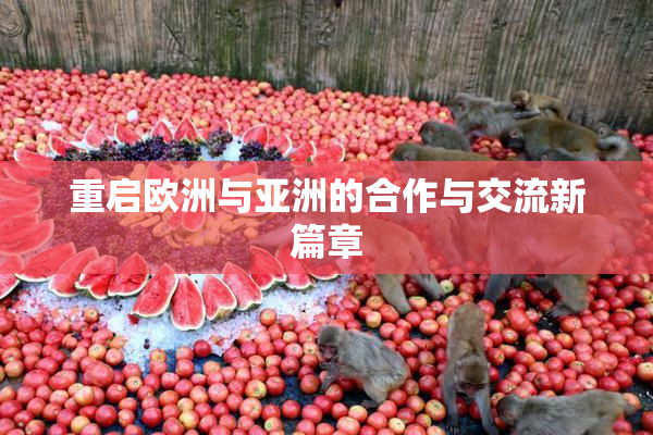 重启欧洲与亚洲的合作与交流新篇章