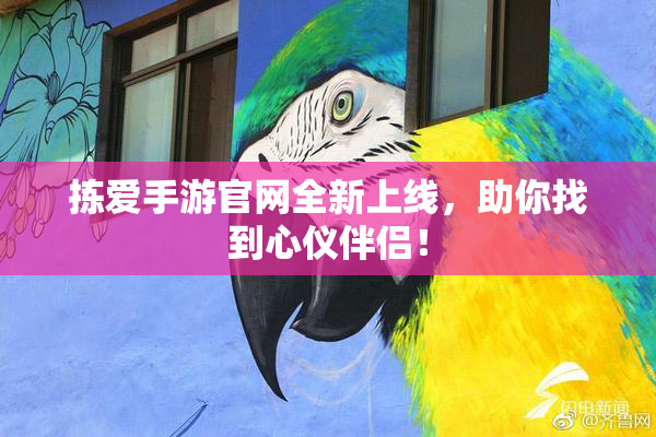 拣爱手游官网全新上线，助你找到心仪伴侣！