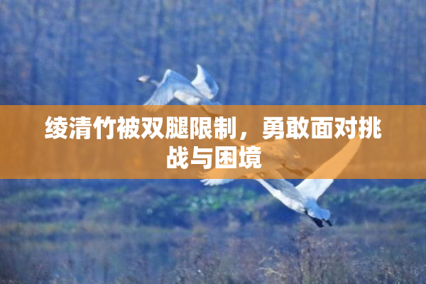 绫清竹被双腿限制，勇敢面对挑战与困境