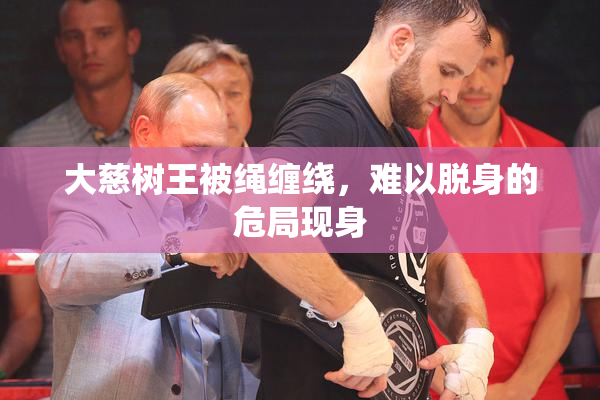 大慈树王被绳缠绕，难以脱身的危局现身