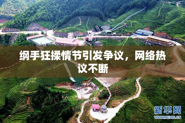 纲手狂揉情节引发争议，网络热议不断