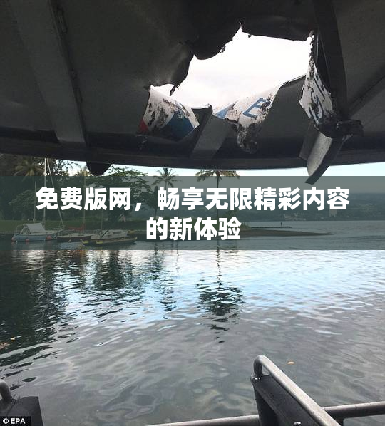 免费版网，畅享无限精彩内容的新体验