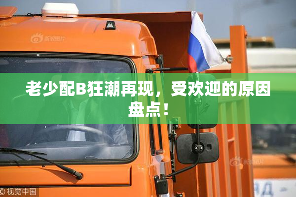 老少配B狂潮再现，受欢迎的原因盘点！