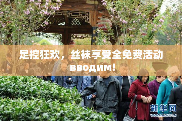 足控狂欢，丝袜享受全免费活动 вводим!