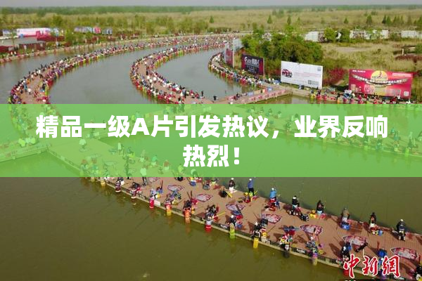 精品一级A片引发热议，业界反响热烈！