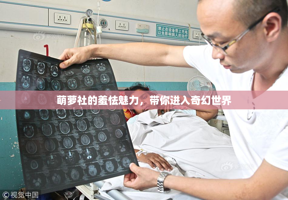 萌萝社的羞怯魅力，带你进入奇幻世界