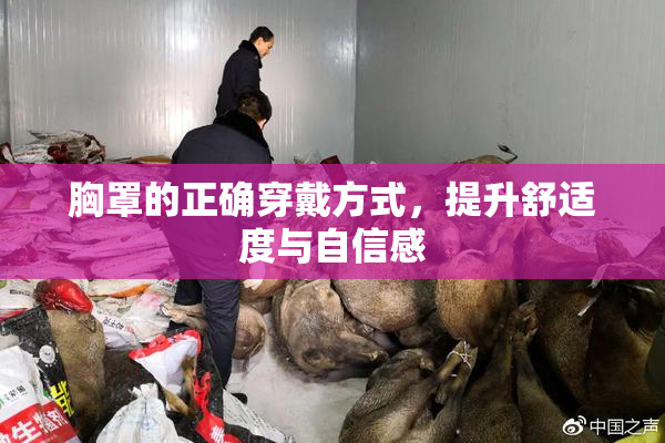胸罩的正确穿戴方式，提升舒适度与自信感