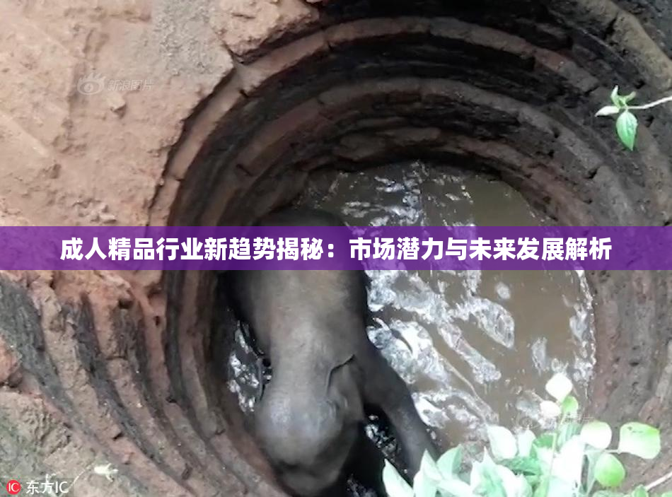 成人精品行业新趋势揭秘：市场潜力与未来发展解析