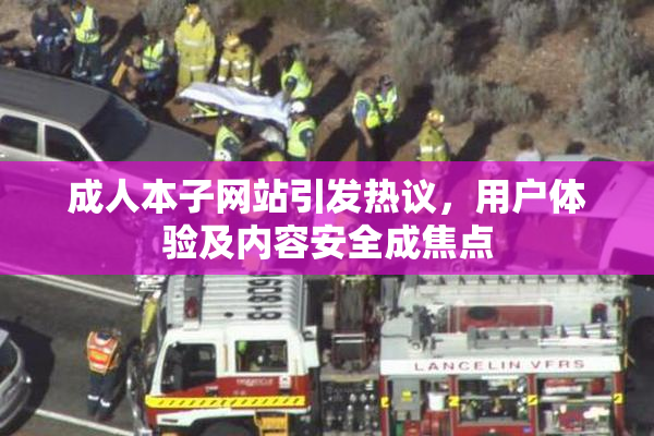 成人本子网站引发热议，用户体验及内容安全成焦点