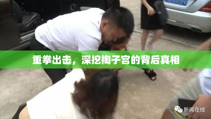重拳出击，深挖掏子宫的背后真相