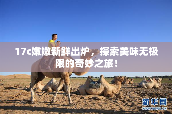 17c嫩嫩新鲜出炉，探索美味无极限的奇妙之旅！