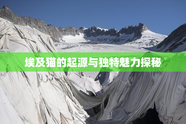 埃及猫的起源与独特魅力探秘
