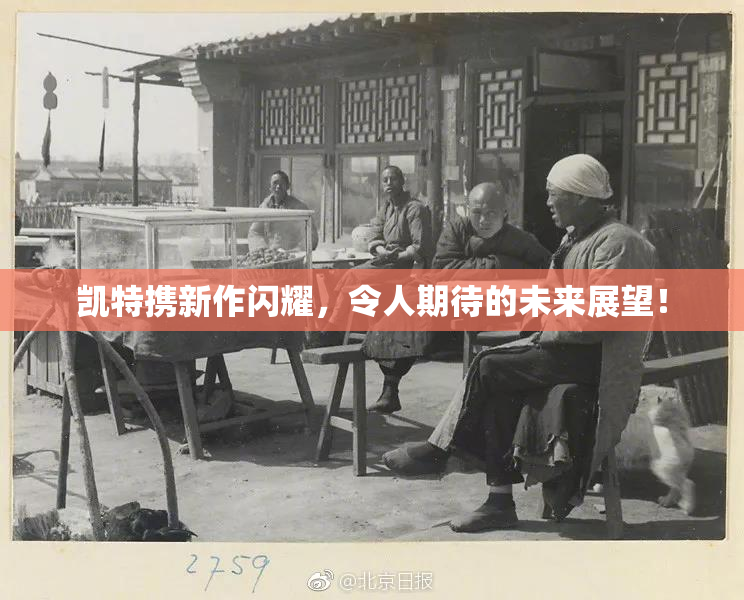 凯特携新作闪耀，令人期待的未来展望！
