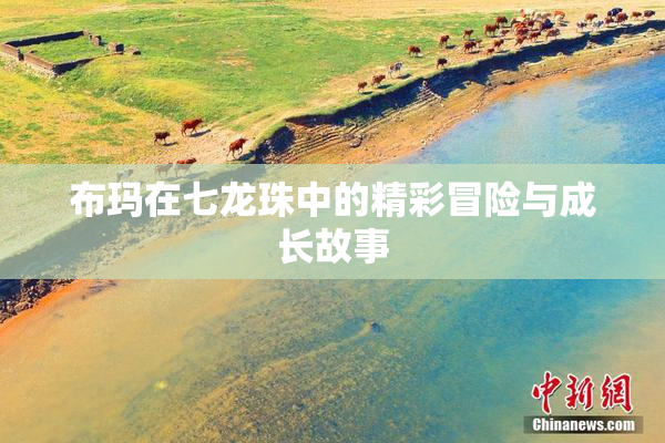 布玛在七龙珠中的精彩冒险与成长故事