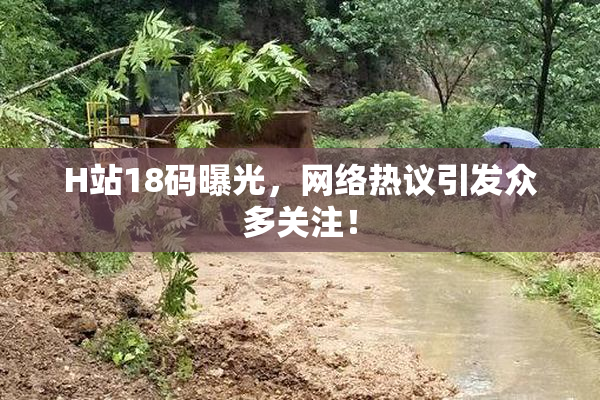 H站18码曝光，网络热议引发众多关注！