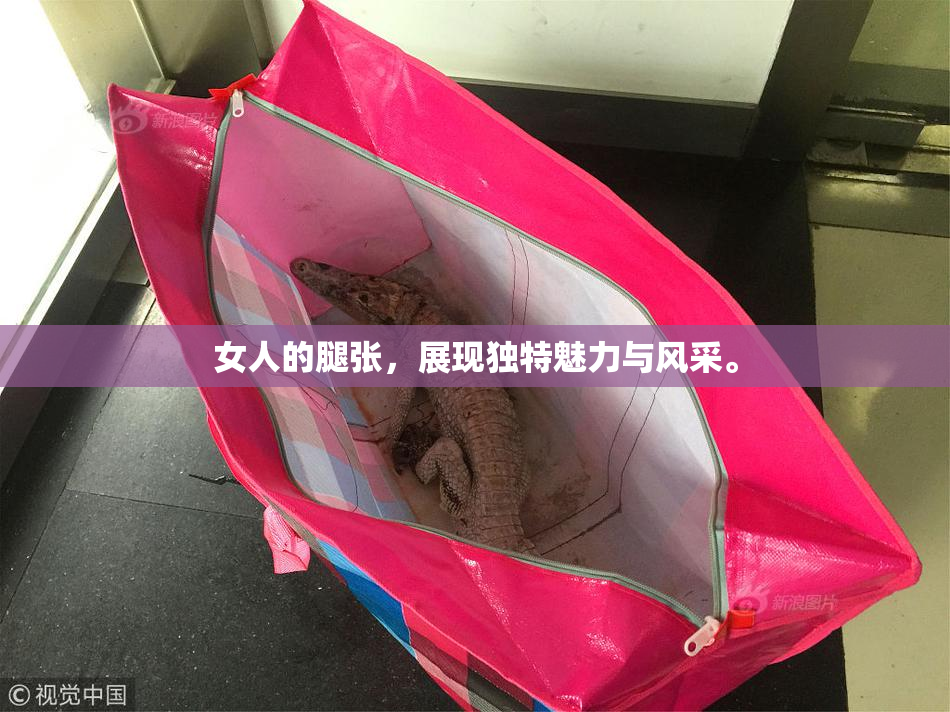 女人的腿张，展现独特魅力与风采。