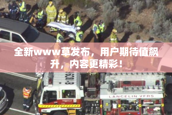 全新www草发布，用户期待值飙升，内容更精彩！