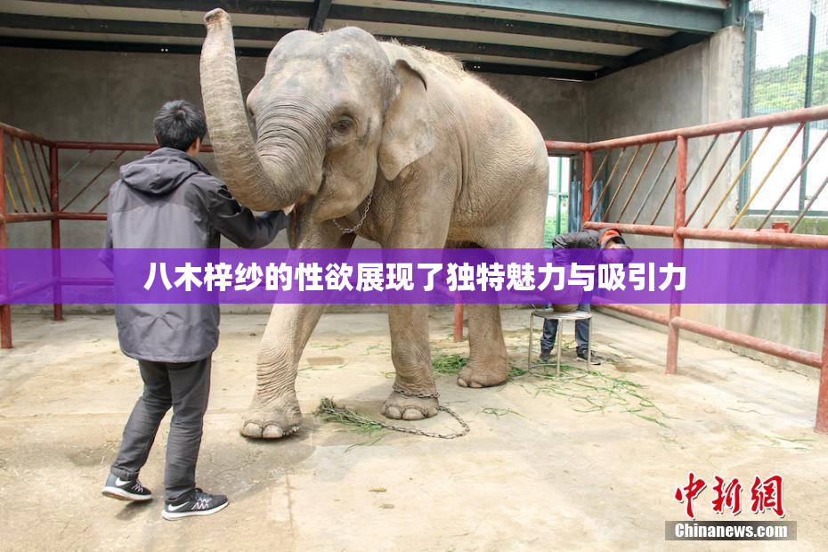 八木梓纱的性欲展现了独特魅力与吸引力