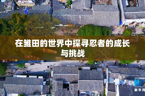 在雏田的世界中探寻忍者的成长与挑战