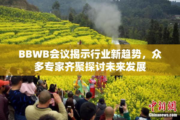 BBWB会议揭示行业新趋势，众多专家齐聚探讨未来发展