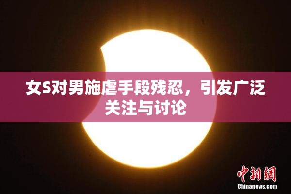 女S对男施虐手段残忍，引发广泛关注与讨论
