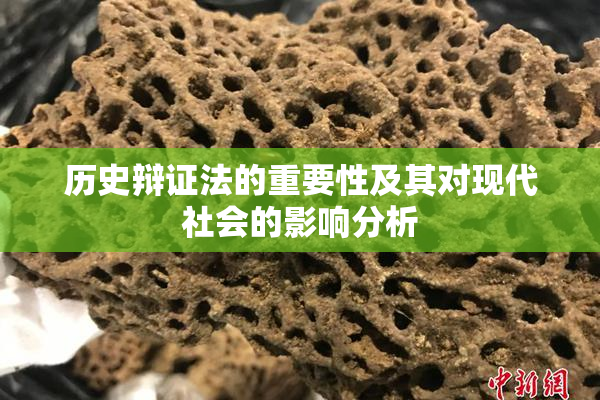 历史辩证法的重要性及其对现代社会的影响分析