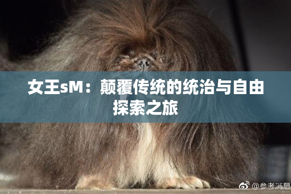 女王sM：颠覆传统的统治与自由探索之旅