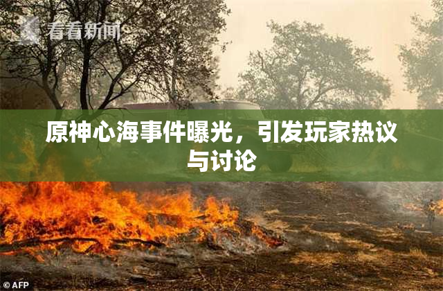 原神心海事件曝光，引发玩家热议与讨论