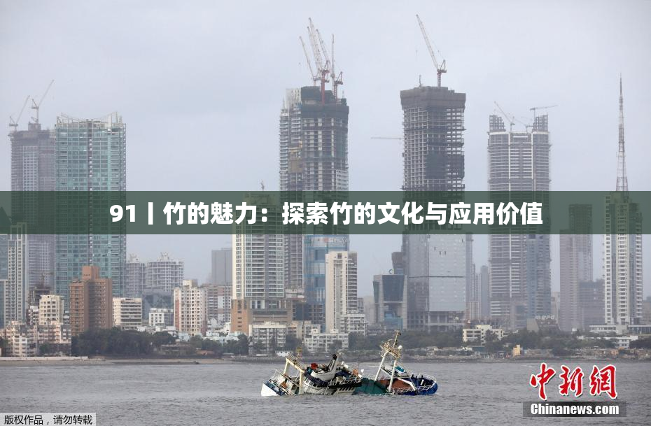 91丨竹的魅力：探索竹的文化与应用价值