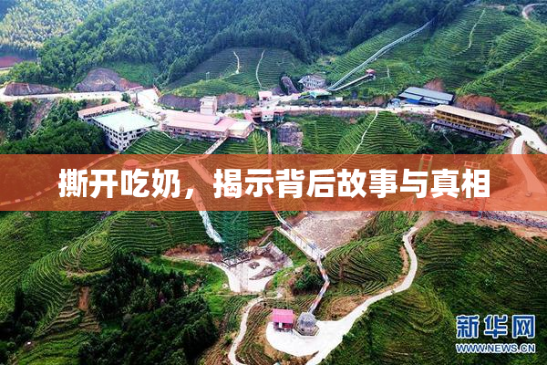 撕开吃奶，揭示背后故事与真相