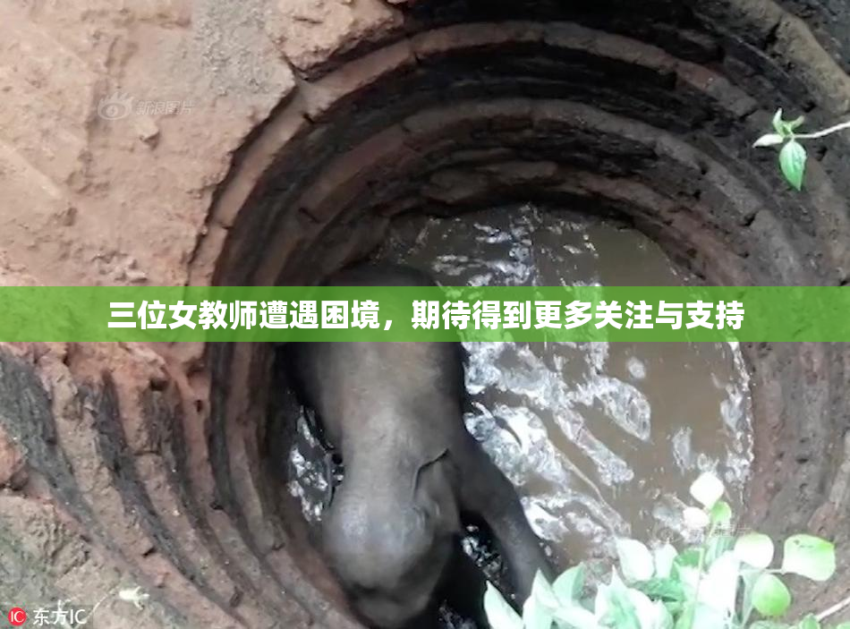 三位女教师遭遇困境，期待得到更多关注与支持