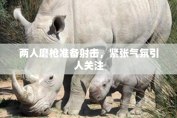两人磨枪准备射击，紧张气氛引人关注