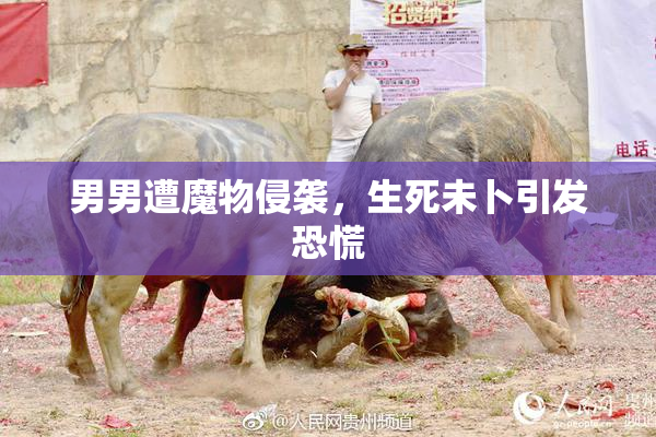 男男遭魔物侵袭，生死未卜引发恐慌
