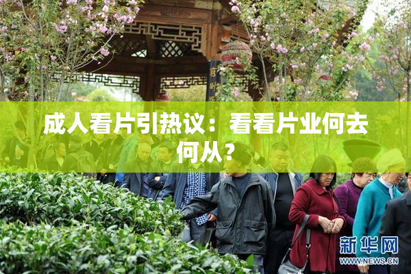 成人看片引热议：看看片业何去何从？