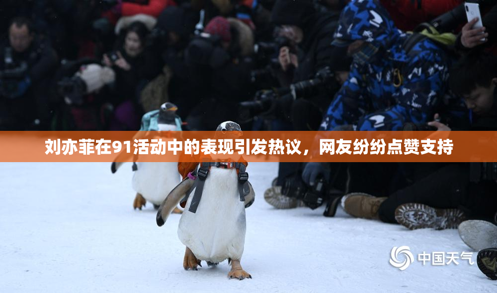 刘亦菲在91活动中的表现引发热议，网友纷纷点赞支持