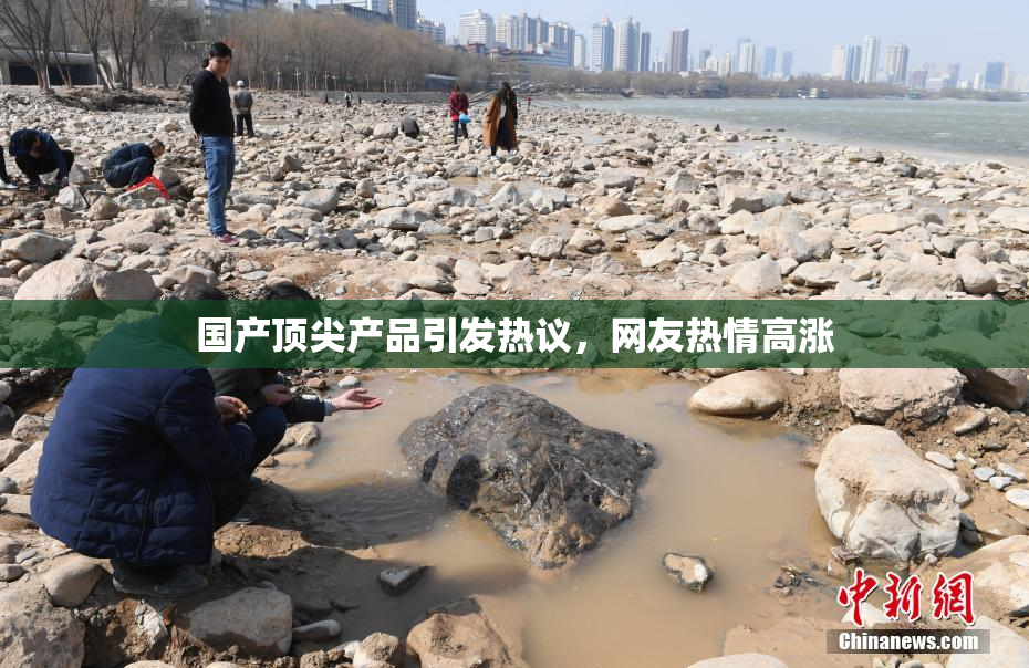 国产顶尖产品引发热议，网友热情高涨