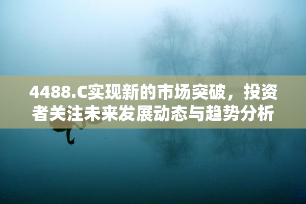 4488.C实现新的市场突破，投资者关注未来发展动态与趋势分析