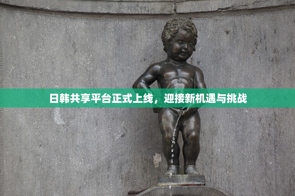日韩共享平台正式上线，迎接新机遇与挑战