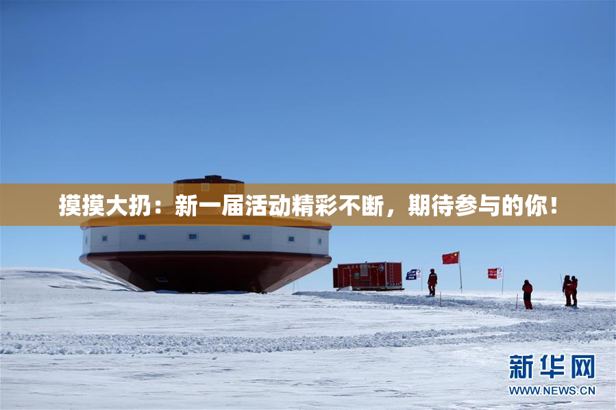 摸摸大扔：新一届活动精彩不断，期待参与的你！