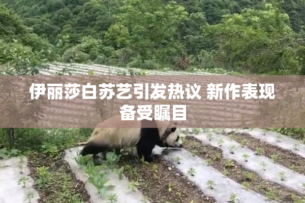 伊丽莎白苏艺引发热议 新作表现备受瞩目