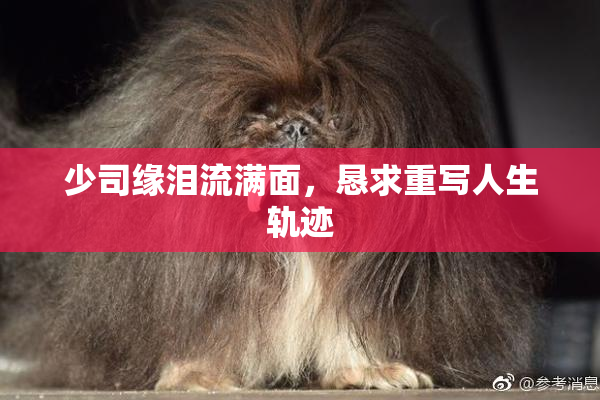 少司缘泪流满面，恳求重写人生轨迹