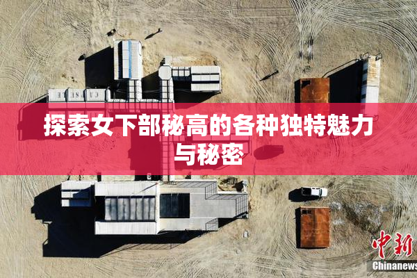 探索女下部秘高的各种独特魅力与秘密