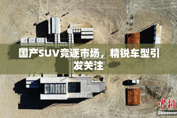 国产SUV竞逐市场，精锐车型引发关注